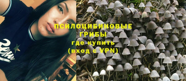 гашик Алзамай