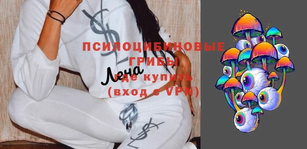 гашик Алзамай