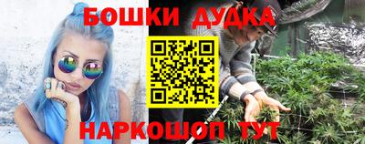 МДПВ Жуковский